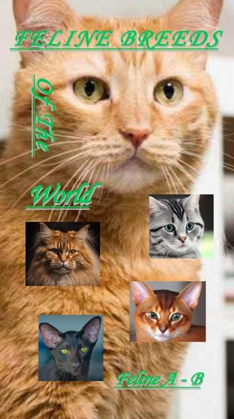 Feline Breeds Of The World A - B (eBook, ePUB)