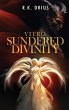 Vitro Sundered Divinity - Bild 1
