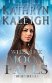 When the Moon Falls (eBook, ePUB) When the Moon Falls (eBook, ePUB)