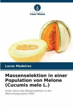 Massenselektion in einer Population von Melone (Cucumis melo L.) - Medeiros, Lucas