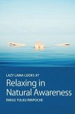 Lazy Lama looks at Relaxing in Natural Awareness (eBook, ePUB)
