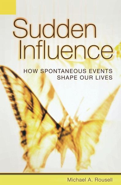 Sudden Influence (eBook, PDF)