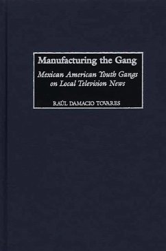 Manufacturing the Gang (eBook, PDF) - Tovares, Raúl Damacio