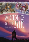 Wonders of the Air (eBook, PDF)