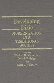 Developing Dixie (eBook, PDF)
