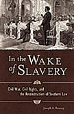 In the Wake of Slavery (eBook, PDF)