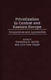 Privatization in Central and Eastern Europe (eBook, PDF)