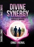 Divine Synergy (eBook, ePUB)