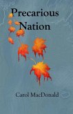 Precarious Nation (eBook, ePUB)