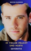 In voller Pracht und Härte (eBook, ePUB)