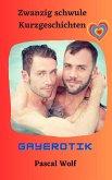Zwanzig schwule Kurzgeschichten (eBook, ePUB)