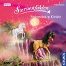 Sturmwind in Gefahr (MP3-Download) - Bild 1