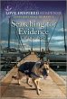 Searching for Evidence (eBook, ePUB) - Bild 1