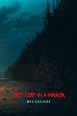 I Got Lost In a Mirror (eBook, ePUB) I Got Lost In a Mirror (eBook, ePUB)