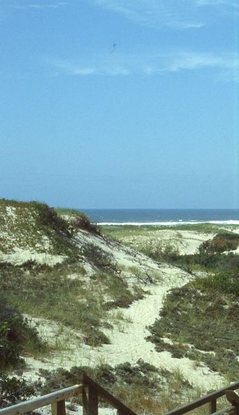 A Husband's gift (eBook, ePUB)