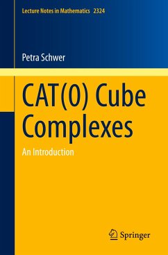 CAT(0) Cube Complexes - Schwer, Petra