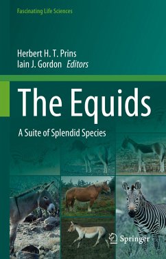 The Equids (eBook, PDF)