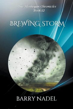 Brewing Storm - Nadel, Barry