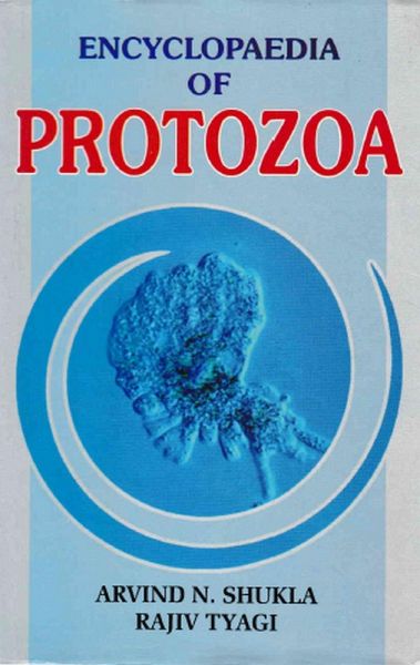 Encyclopaedia of Protozoa (How To Know Protozoa) (eBook, PDF)