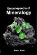 Encyclopaedia Of Mineralogy (eBook, PDF) - Bild 1