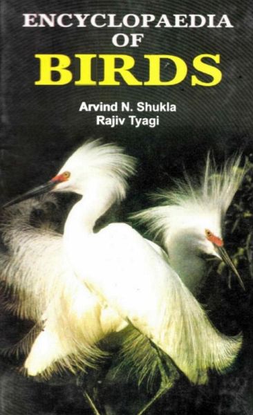 Encyclopaedia of Birds (eBook, PDF) Encyclopaedia of Birds (eBook, PDF)