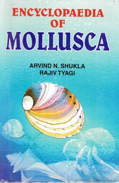 Encyclopaedia of Mollusca (Evolutionary Molluscs) (eBook, PDF) Encyclopaedia of Mollusca (Evolutionary Molluscs) (eBook, PDF)