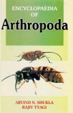 Encyclopaedia of Arthropoda (Origin And Evolution Of Arthropods) (eBook, PDF)