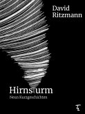 Hirnsturm (eBook, ePUB)