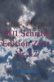 1001 Schritte - Edition Zero - Nr. 12 (eBook, ePUB)