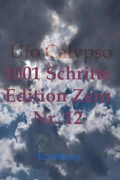 1001 Schritte - Edition Zero - Nr. 12 (eBook, ePUB) - Calypso, Ufo