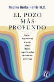 El pozo más profundo (eBook, ePUB)