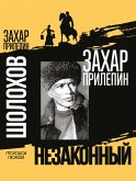 SHolohov (eBook, ePUB)