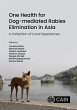 One Health for Dog-mediated Rabies... - Bild 1