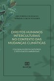 Direitos humanos interculturais no contexto das mudanças climáticas (eBook, ePUB)