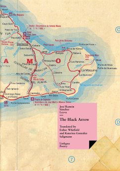 The Black Arrow (eBook, ePUB) - Sánchez Leyva, José Ramón