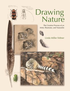 Drawing Nature (eBook, PDF) - Feltner, Linda Miller