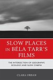Slow Places in Béla Tarr's Films
