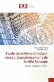 Etude du schéma directeur réseau d'assainissement de la ville Relizane