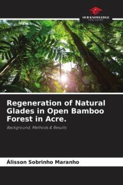 Cover Regeneration of Natural Glades in Open Bamboo Forest in Acre.
