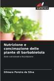 Nutrizione e concimazione delle piante di barbabietola