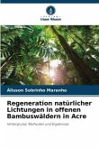 Regeneration natürlicher Lichtungen in offenen Bambuswäldern in Acre