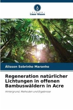 Regeneration natürlicher Lichtungen in offenen Bambuswäldern in Acre - Sobrinho Maranho, Álisson