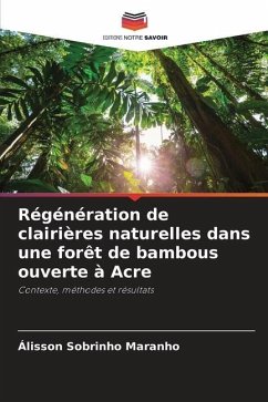 Régénération de clairières naturelles dans une forêt de bambous ouverte à Acre - Sobrinho Maranho, Álisson
