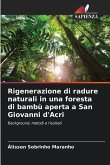 Rigenerazione di radure naturali in una foresta di bambù aperta a San Giovanni d'Acri