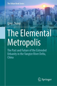 The Elemental Metropolis (eBook, PDF) - Zhang, Qinyi