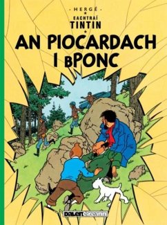 Cover An Piocardach i Bponc