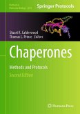Chaperones (eBook, PDF)