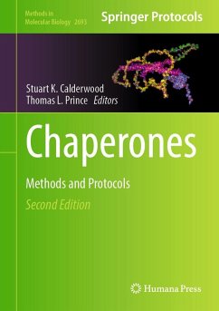 Chaperones (eBook, PDF)