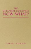 The Metaphor Explained, Now What? (eBook, ePUB)