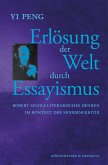 Erlösung der Welt durch Essayismus (eBook, PDF)